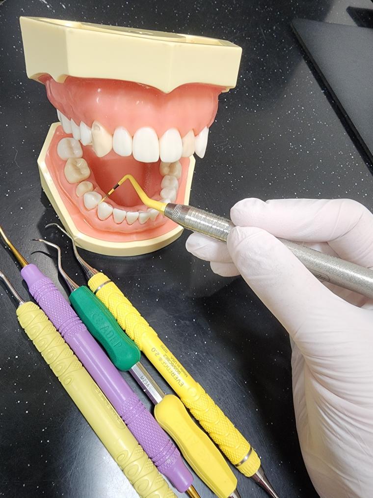 努力から生まれるチームワーク