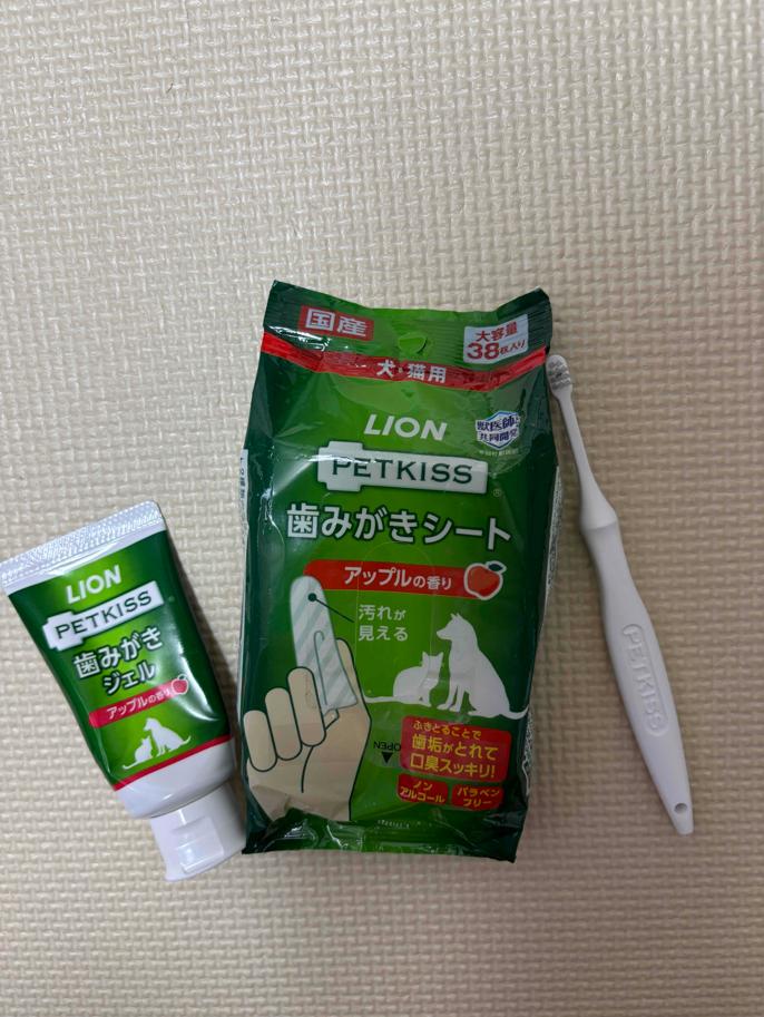 愛犬の健康は歯みがきから!
